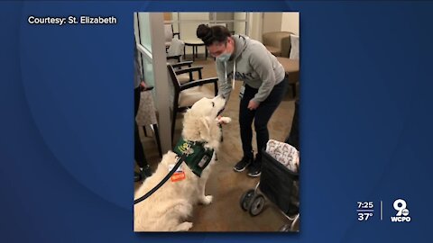 Pet therapy for St. Elizabeth frontline health care workers