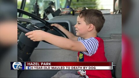 Boy, 4, mauled to death by dog in Hazel Park