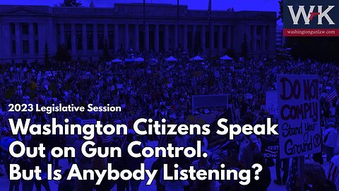 Washington Citizens Speak Out on Gun Control. But Is Anybody Listening?