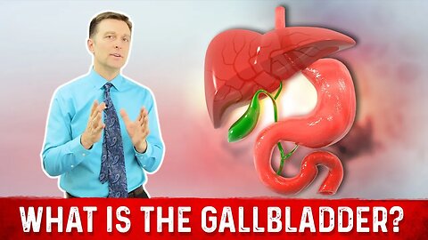 What is Gallbladder? – Explained by Dr. Berg