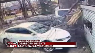 Wind damage across metro Detroit