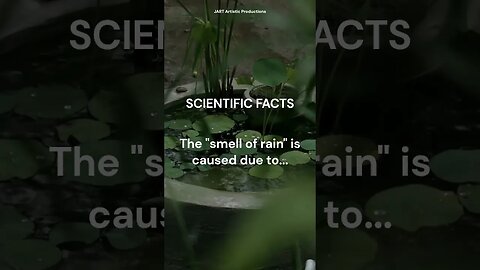 Unraveling the 'Smell of Rain': Scientific Facts that will blow your mind!