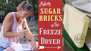 Making Sugar Bricks for Bees in the Freeze Dryer | Winter Bee Feeding | Harvest Right Freeze Dryer