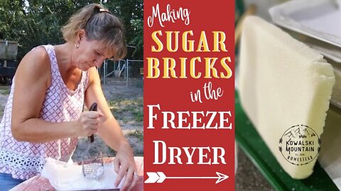 Making Sugar Bricks for Bees in the Freeze Dryer | Winter Bee Feeding | Harvest Right Freeze Dryer