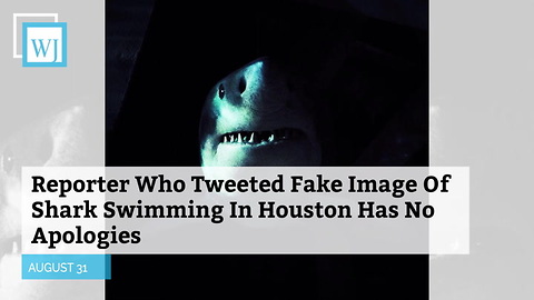 Reporter Who Tweeted Fake Image Of Shark Swimming In Houston Has No Apologies