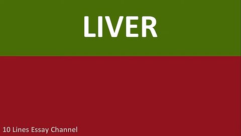 Structure of liver