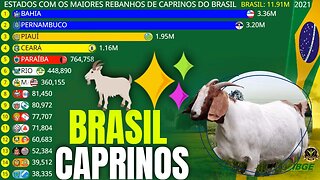 Estados Com os Maiores Rebanhos de Caprinos do Brasil (Bodes e Cabras)