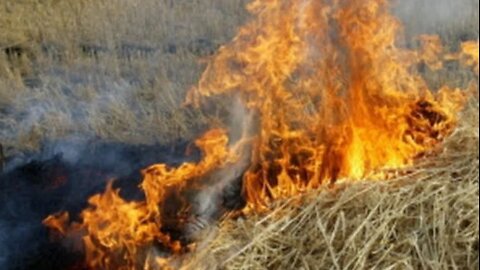 O CONTRATO "FOGO DE PALHA"!