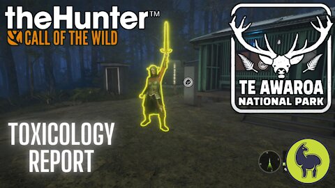 The Hunter: Call of the Wild, Toxicology Report, Te Awaroa- PS5 4K