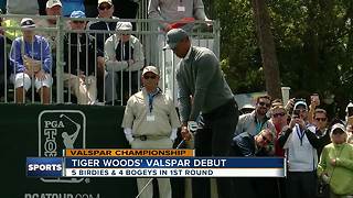 Tiger Woods' Valspar Championship debut