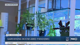 Gardening industry booming during the pandemic