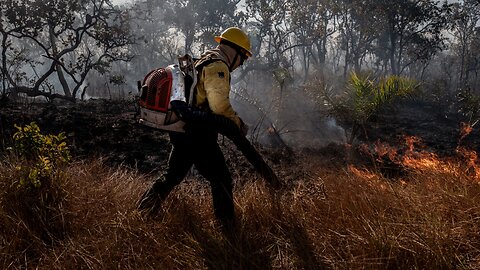 Wildfires In The Amazon Are Uniquely Difficult To Fight
