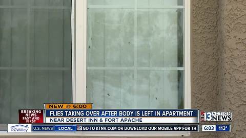 Flies take over apartment building after unattended death