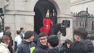 Tourist slaps horse across the face 3 times guard shouts step back gets police #horseguardsparade