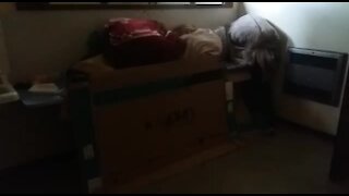 SOUTH AFRICA - Johannesburg - Homeless shelter (videos) (s3f)