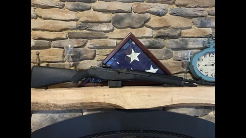 Springfield M1A Scout Squad