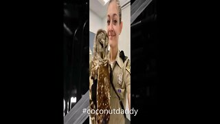 Virginia Officer Rescues Owl #shorts