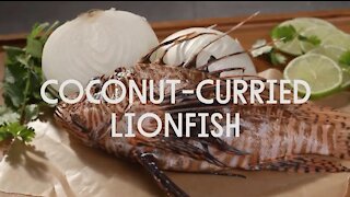 Coconut Curried Lionfish Recipe