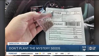 Florida Department of Agriculture warns Floridians of suspicious seed packets mailed from China