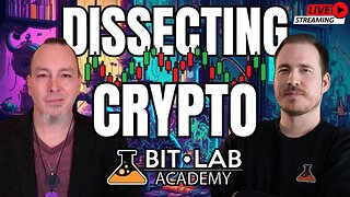 Dissecting The Crypto Crash In The BitLab w Kelly Kellam