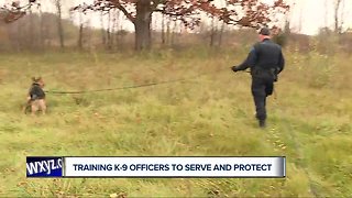 Police and K-9 partners work together in successful and remarkable ways