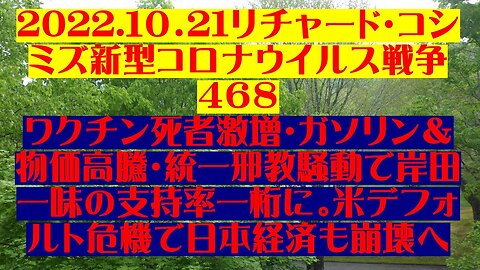 2022.10.21 リチャード・コシミズ新型コロナウイルス戦争４６８