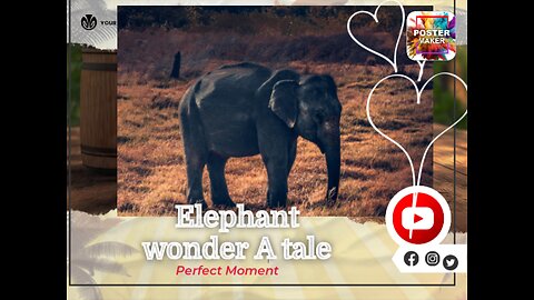 Elephant Wonders: A Majestic Tale of Memory, Societies, and Trunk-Tastic Marvels