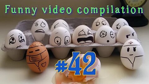 Funny video compilation #42