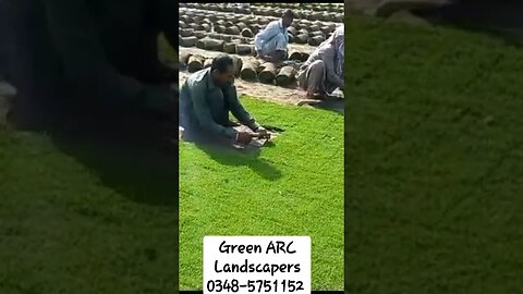 #greenland #grass #landscape #landscapedesign #landscaping #youtubeshorts #youtube #shortsvideo #