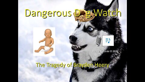 Tragedy of Brayden Heery