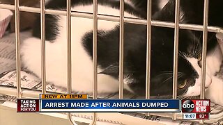 Authorities find woman suspected of dumping 10 cats, dog on side of road, county may press charges