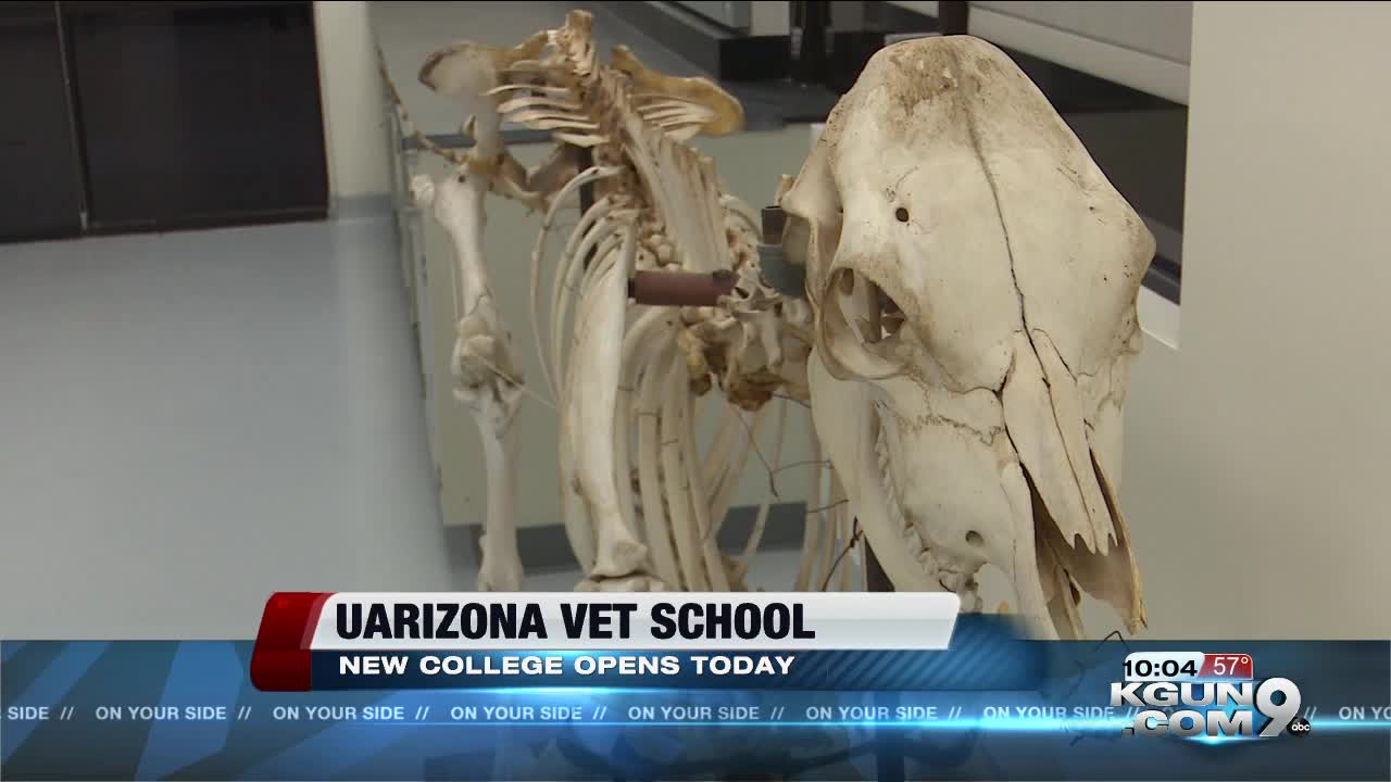 UArizona opens doors to new veterinary college