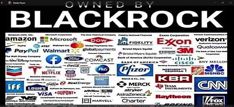 BlackRock Owns EVERYTHING – How BlackRock Owns and Controls Everything in the USA & Future Plans