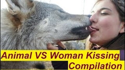 Animals kissing girls boob _ #Animals #short