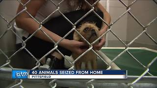 Animals seized from northeast Wisconsin home