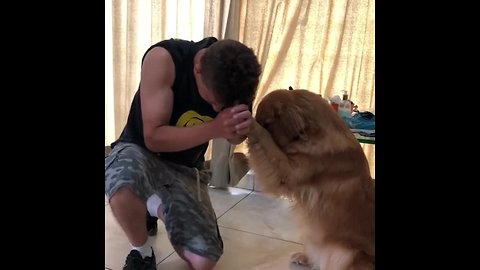 Golden Retriever Bows Head And Prays With Owner