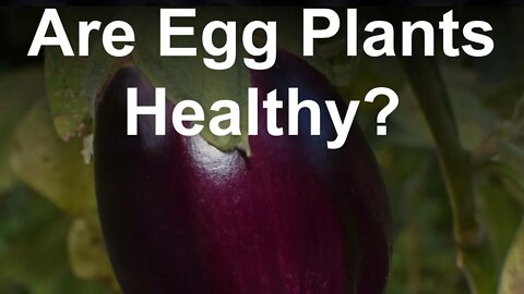 Are Egg Plants 🍆 Healthy?