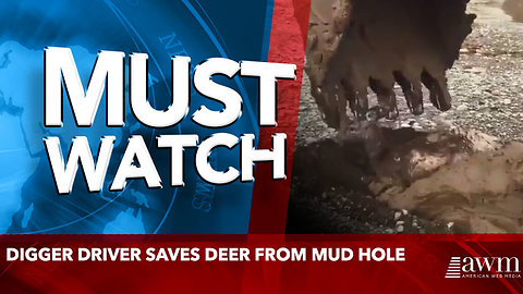 Digger driver saves deer from mud hole