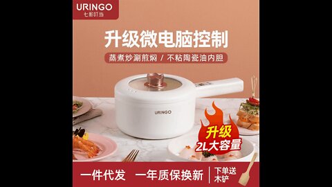 Electric Cooking Pot (806)