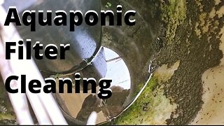 Aquaponic filter clean out - (aquaponic system filtration - radial flow filters)