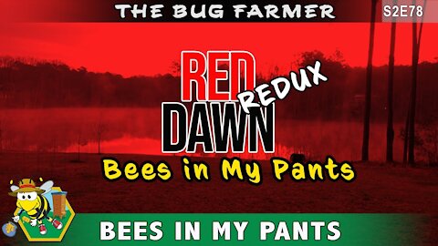 RED DAWN Redux - Bees In My Pants!