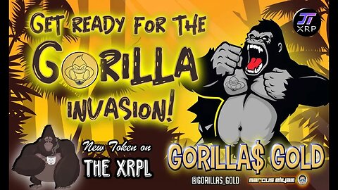 Gorilla Gold Interview - New XRPL Token - Support Artists/Metaverse/Cartoons