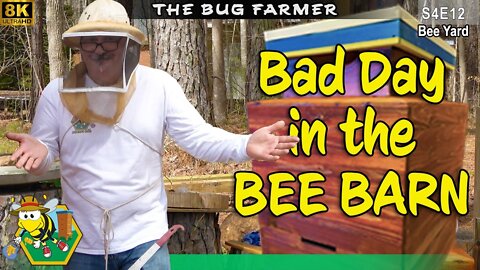 Bad Day in the Bee Barn : A catastrophe of my own making. #8K #beekeeping #insects