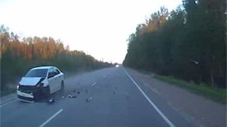 Moose hit by car in shocking collision on Russian road