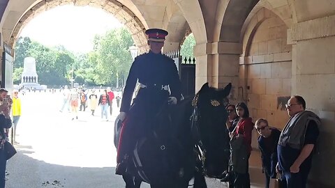 Corporal Salutes The Guard #horseguardsparade
