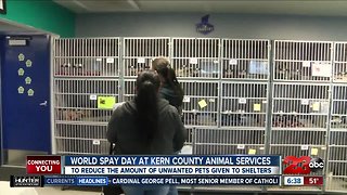 Kern County Animal Services on World Spay Day