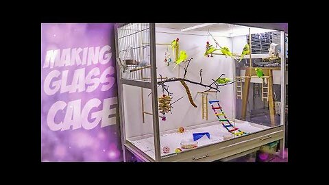 How made birds glass cage