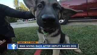 Free puppies for law enforcement: Owner of a dog lost then found after eight days donating animals