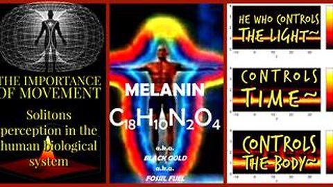 The Importance of Movement Solitons and Coherent Light in the Development-MELANIN IS LIFE-PDF B-LO