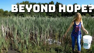 I Can SAVE IT, Right?! -- GROSS to GLISTENING Farm Pond Save or Hopeless case? (Video 1)